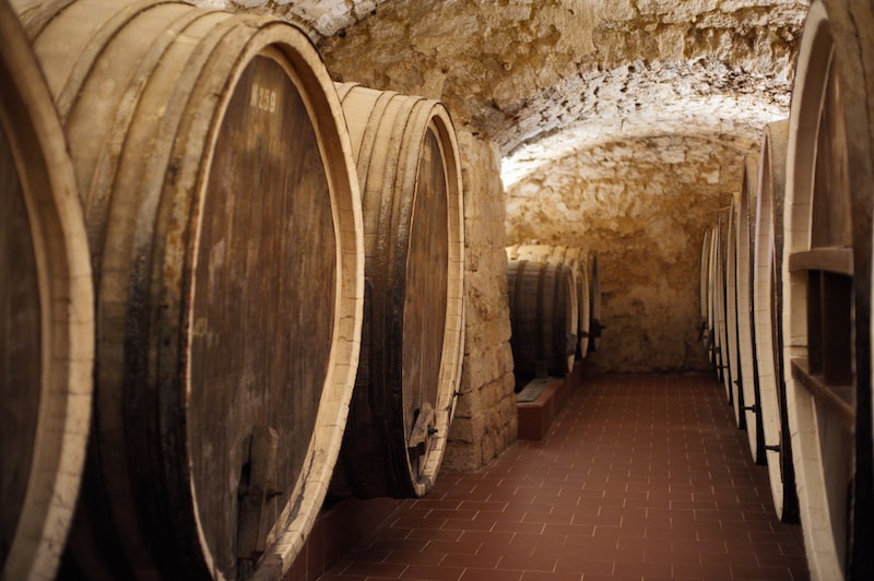 Visita bodega Vee